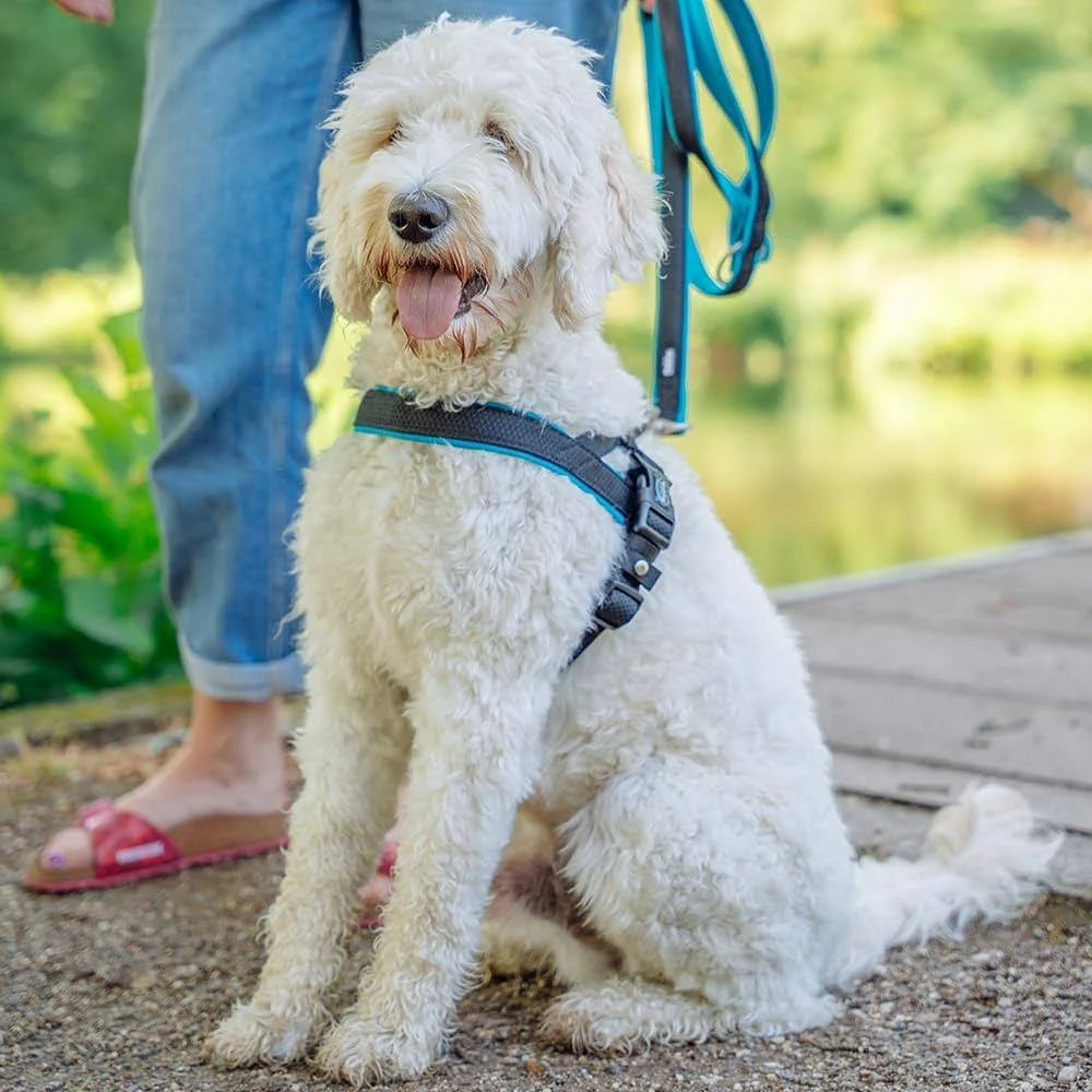 Norwegian Harness For Dogs Nobby Pet Mesh Preno