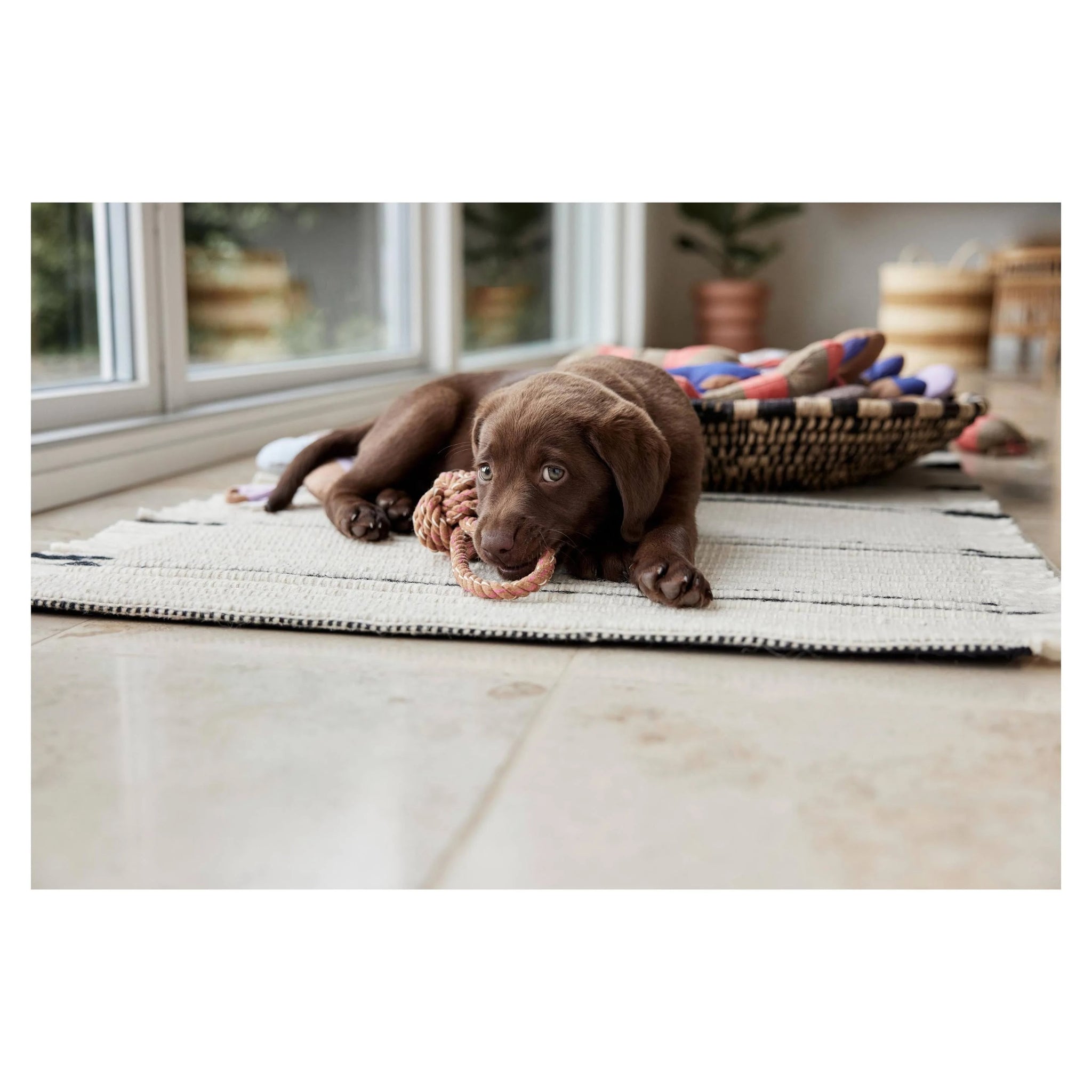 OYOY - Otto Rope Dog Toy - Caramel