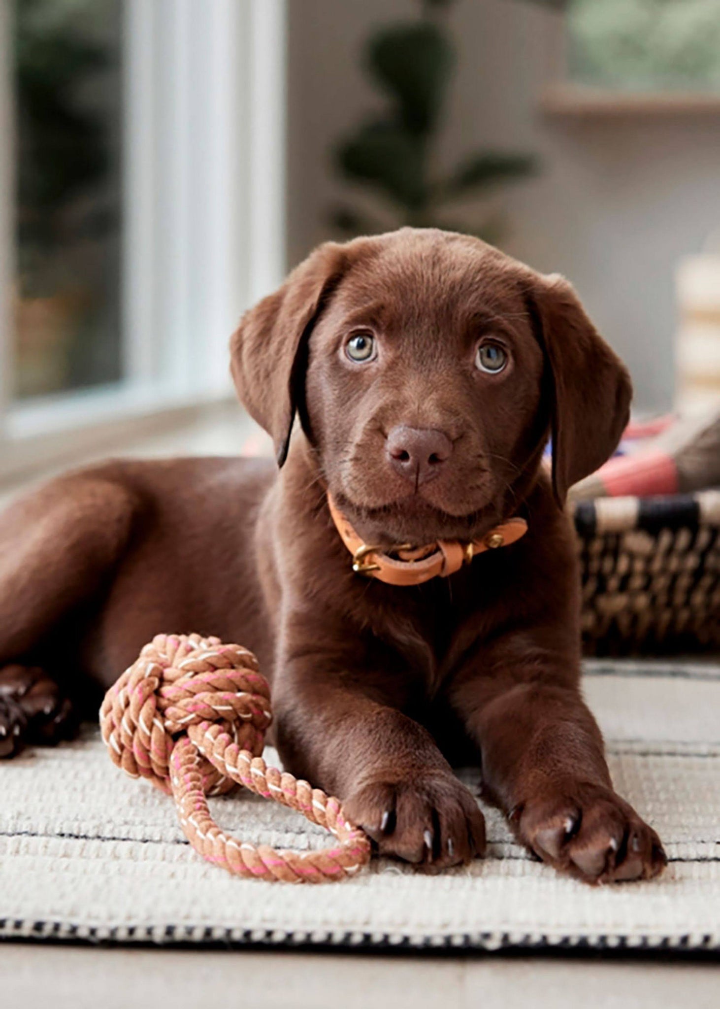 OYOY - Otto Rope Dog Toy - Caramel