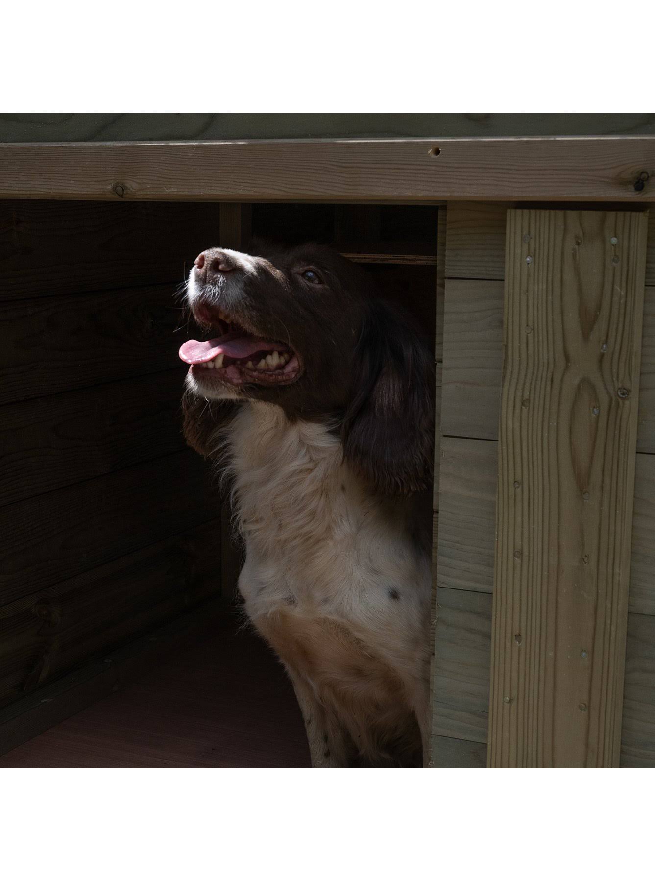 Forest Garden Large Dog Kennel & Run