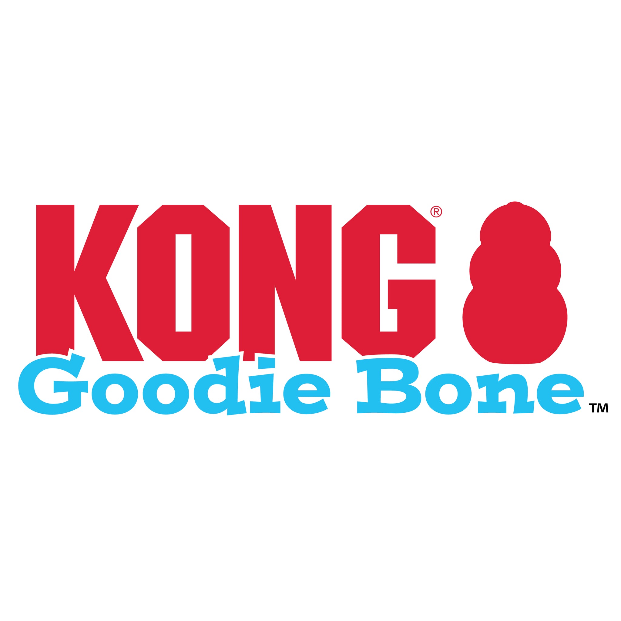 Kong Puppy Goodie Bone with Rope (Small)