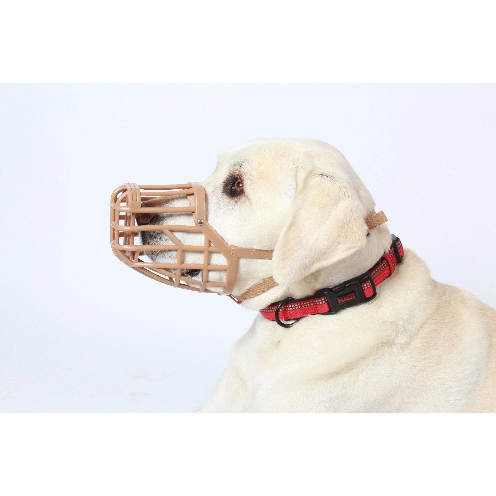 Baskerville Muzzle - Size 7
