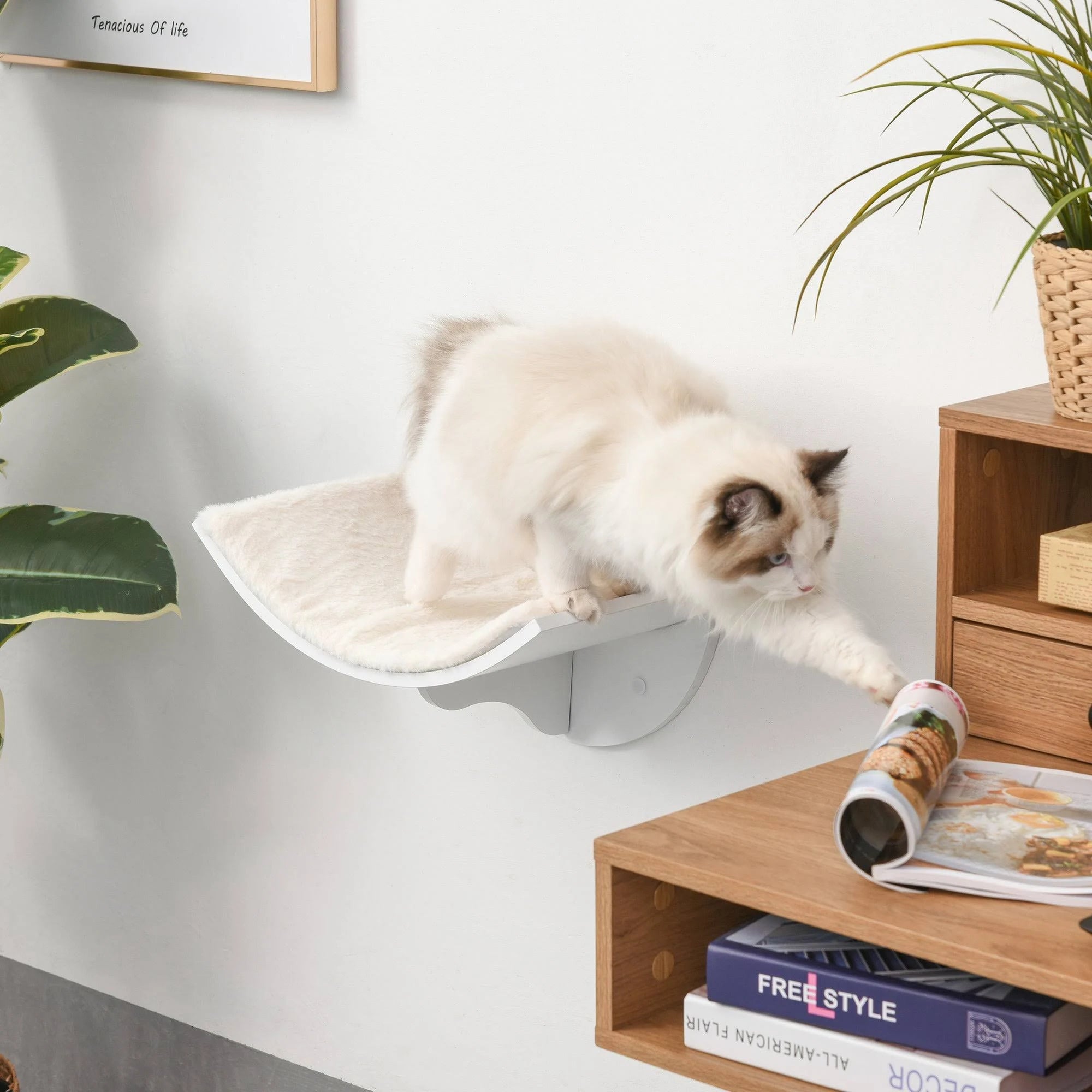 PawHut Wood Cat Shelf Perch Bed Curved Climber Wall-Mounted White