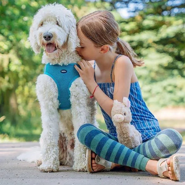 Nobby 80625-81 Mesh Harness with Reflective Stripe, Small, Grey