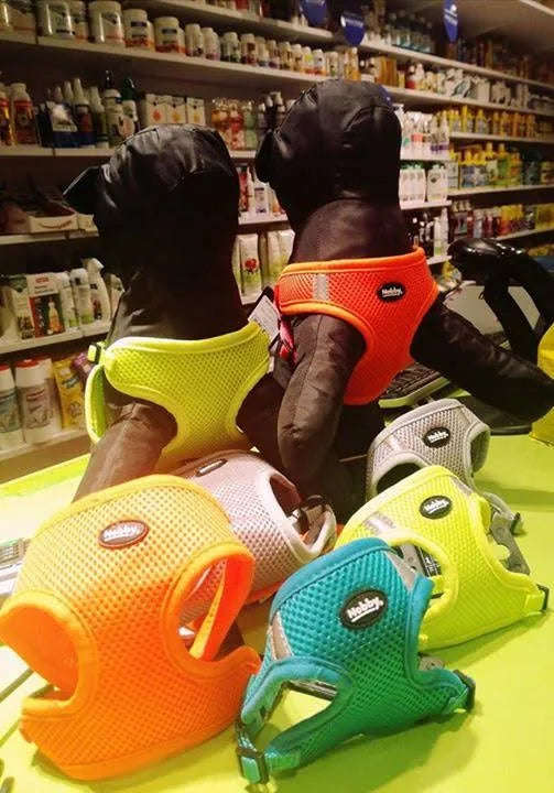 Nobby 80625-81 Mesh Harness with Reflective Stripe, Small, Grey