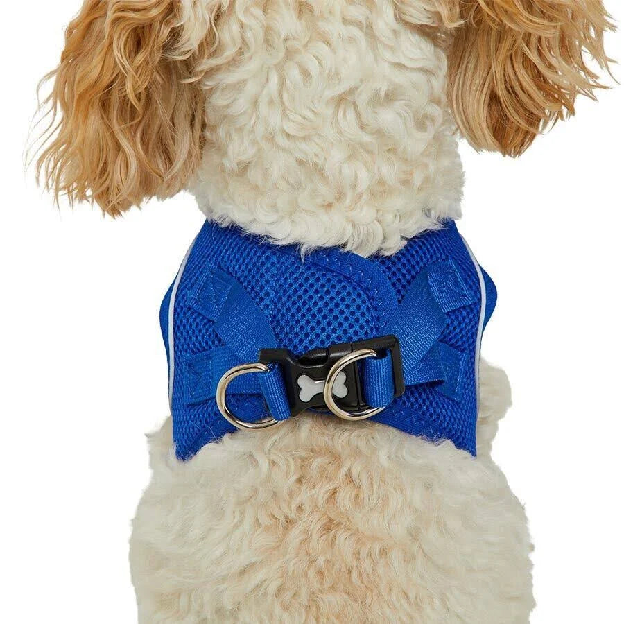 Pets At Home Everyday Mesh Harness (x Small) 40 - 44 cm Reflective Trim New Blue