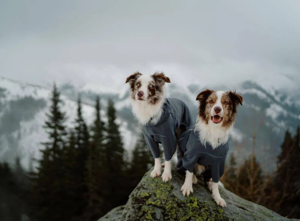 Hurtta Midlayer Overall Blackberry - 65M