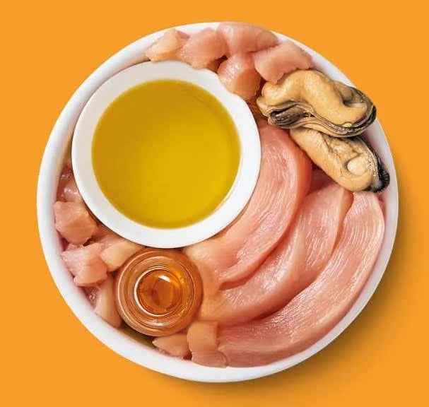 Lily's Kitchen Chicken with Mussel Shredded Fillets Cat Food - 24 x 70g