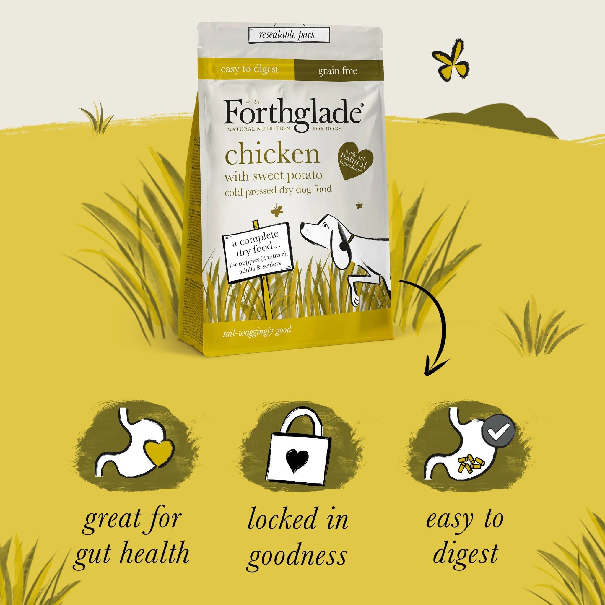 Forthglade | Cold Pressed, Grain Free | Chicken | Natural Dry Dog Food - 2kg