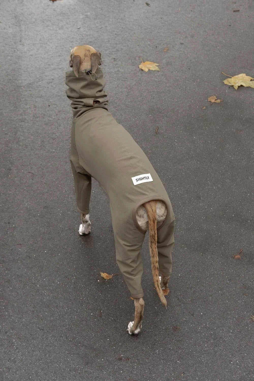 Fleece Lined 4-legged Raincoat in Olive | Whippet Coats Olive / L