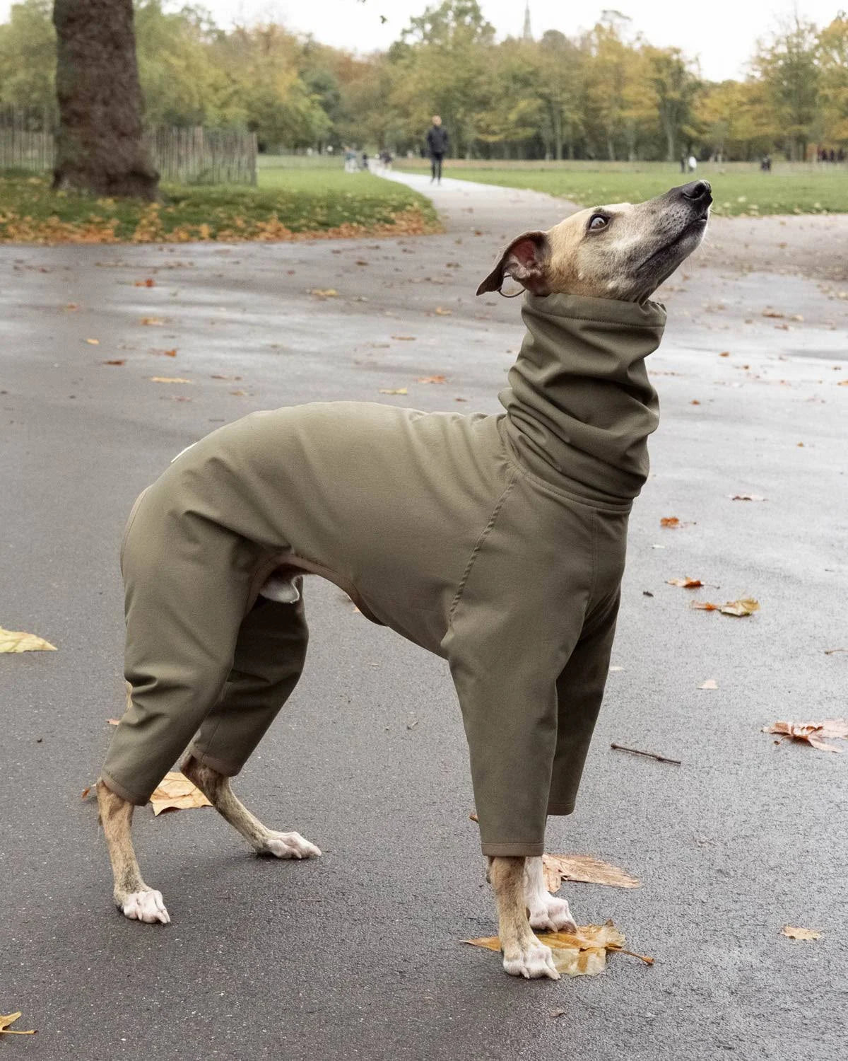 Fleece Lined 4-legged Raincoat in Olive | Whippet Coats Olive / L