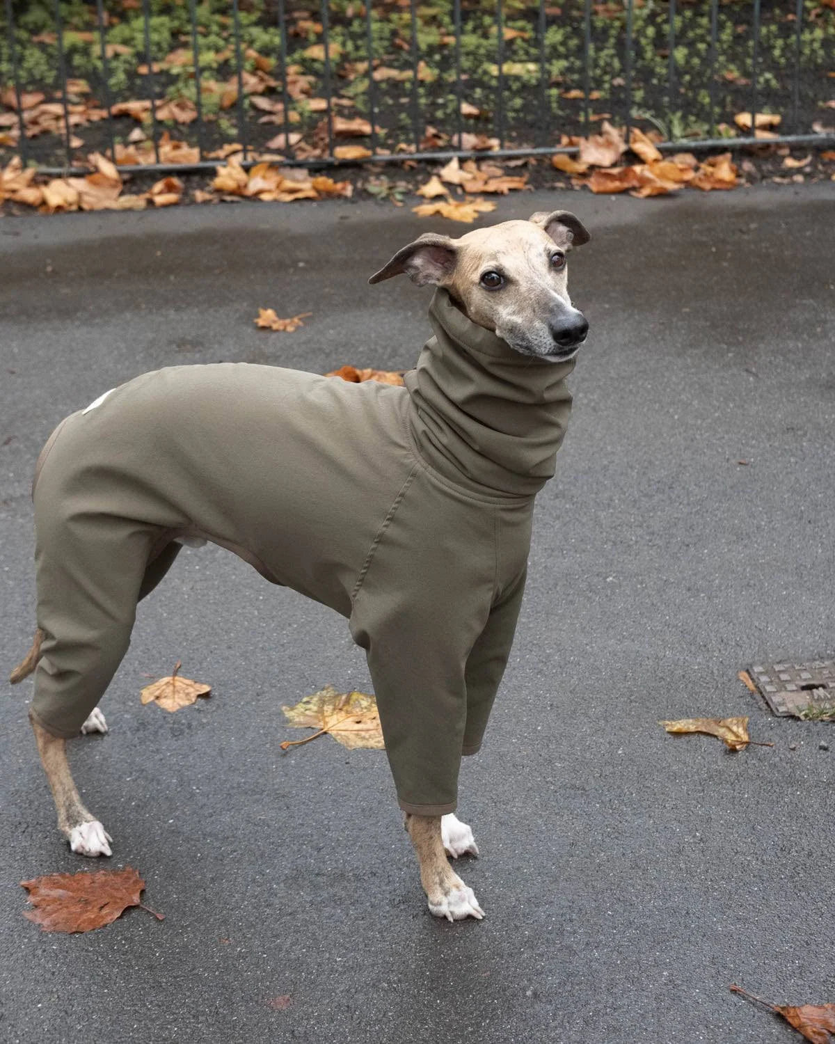 Fleece Lined 4-legged Raincoat in Olive | Whippet Coats Olive / L