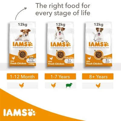 Iams Adult Small/Medium Breed Chicken Dog Food 3kg