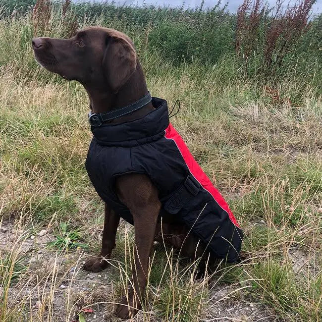 Danish Design Blue Sports Luxe Dog Coat - 50 cm