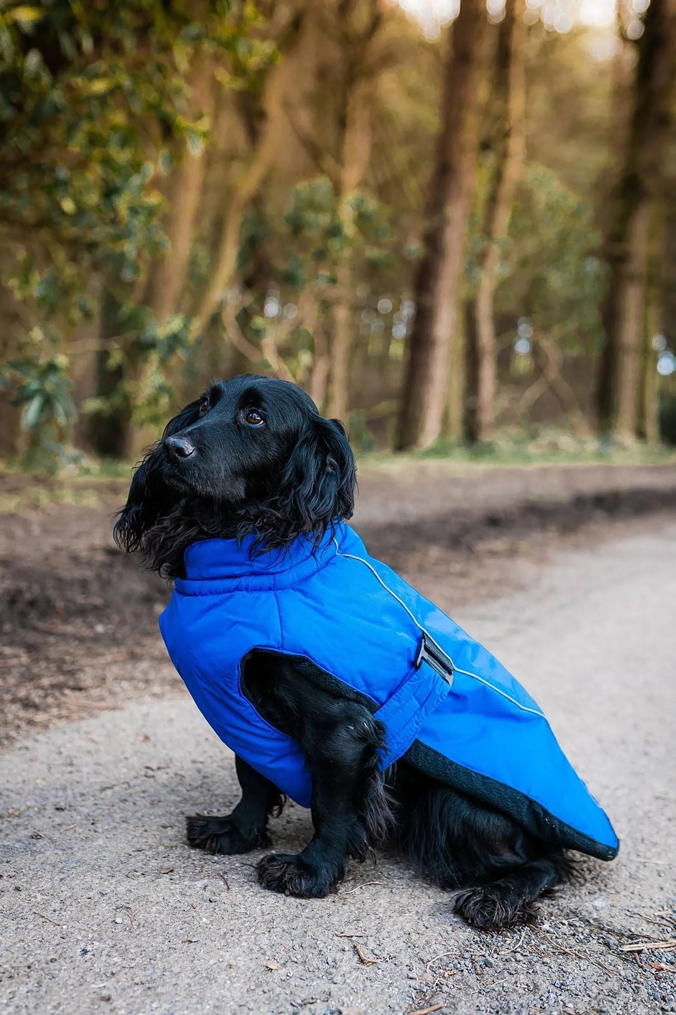 Danish Design Blue Sports Luxe Dog Coat - 50 cm