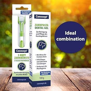Canosept 3-Headed Dog Toothbrush - Dog Breath Freshener - Dog Toothbrush Dog ...