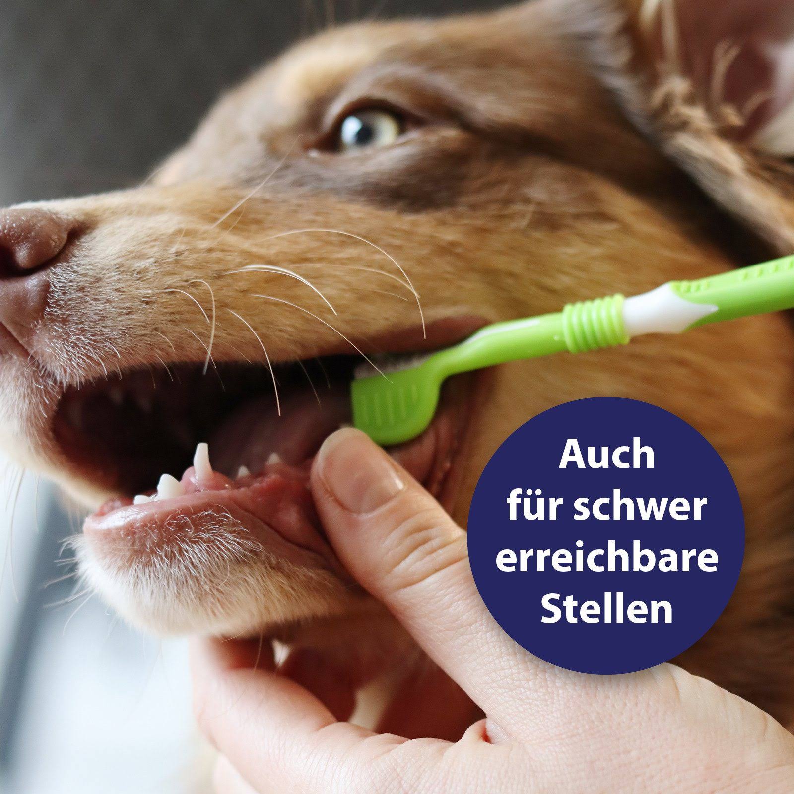 Canosept 3-Headed Dog Toothbrush - Dog Breath Freshener - Dog Toothbrush Dog ...