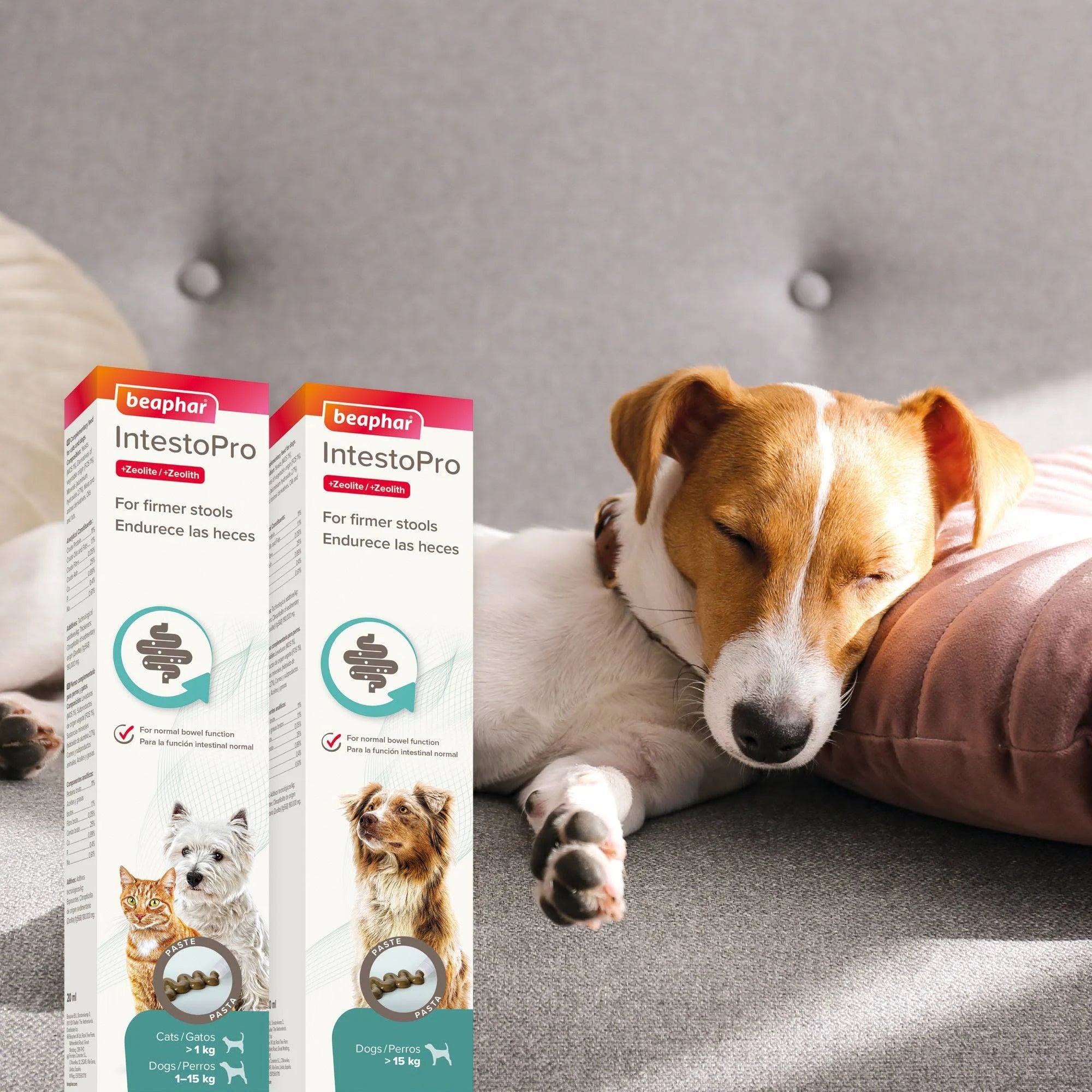 Beaphar - Intestopro Paste Dog 2x20ml