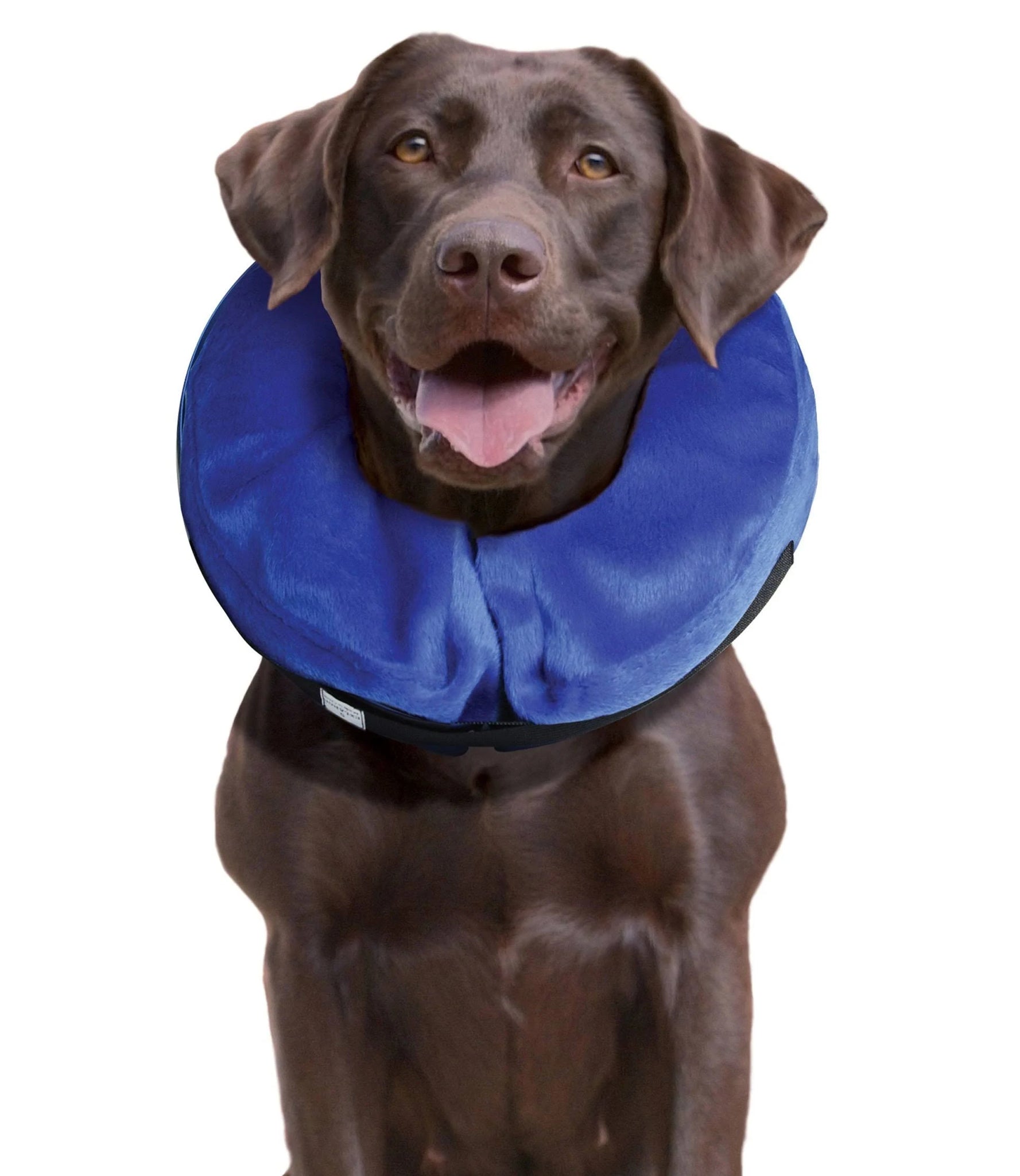 Kong Cloud Inflatable Collar Large