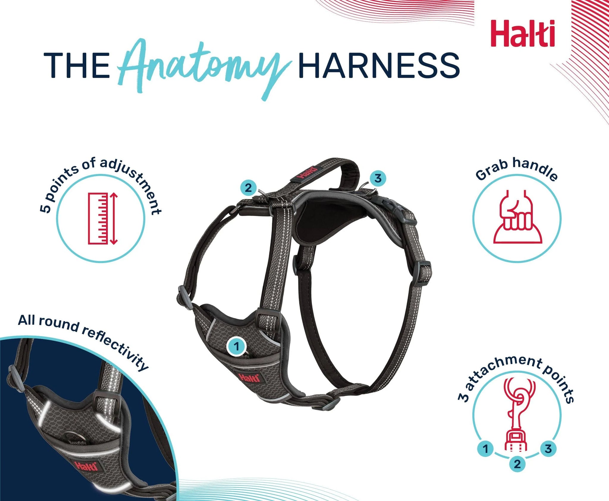 Halti Anatomy Harness Teal - Medium