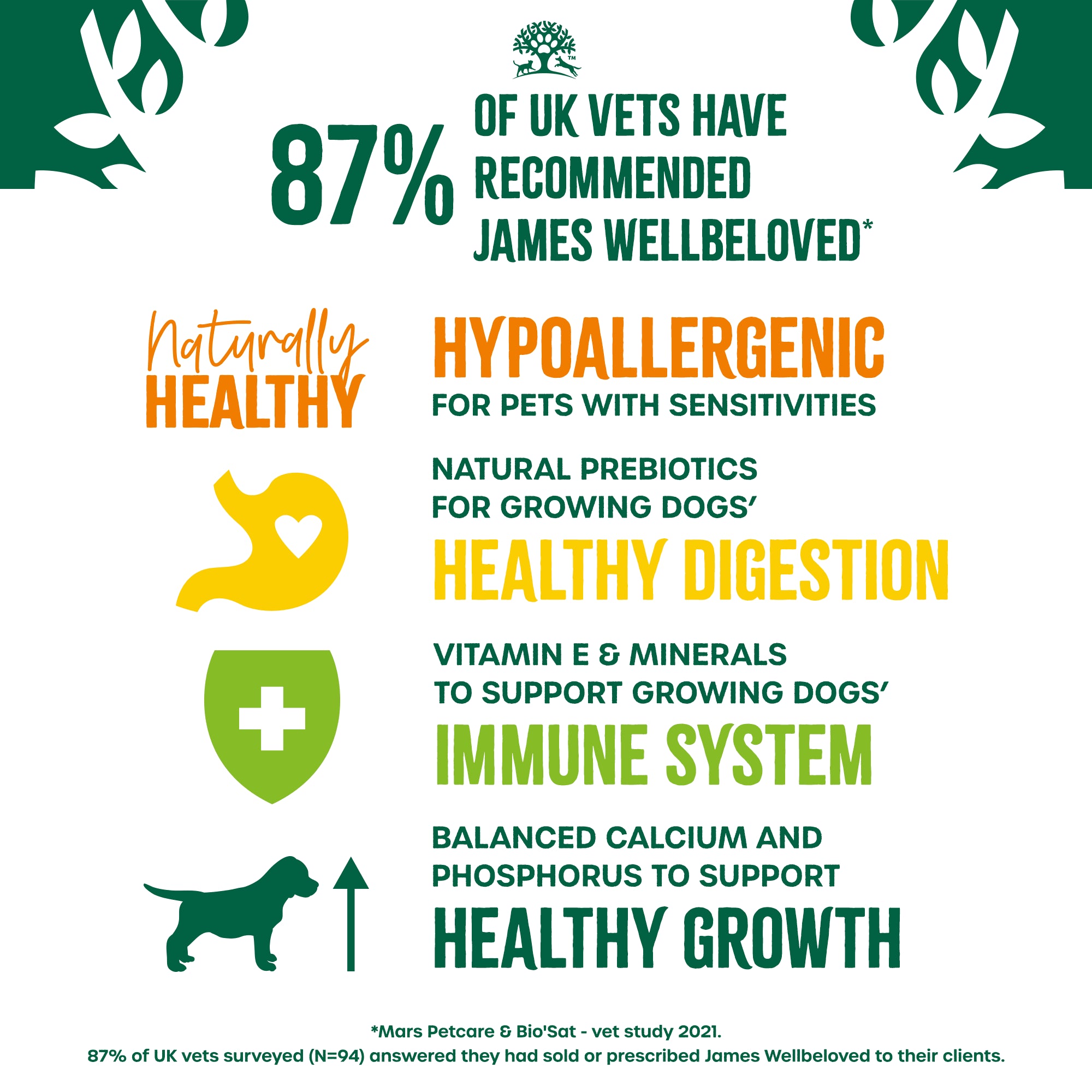 James Wellbeloved Puppy Turkey & Rice 2kg