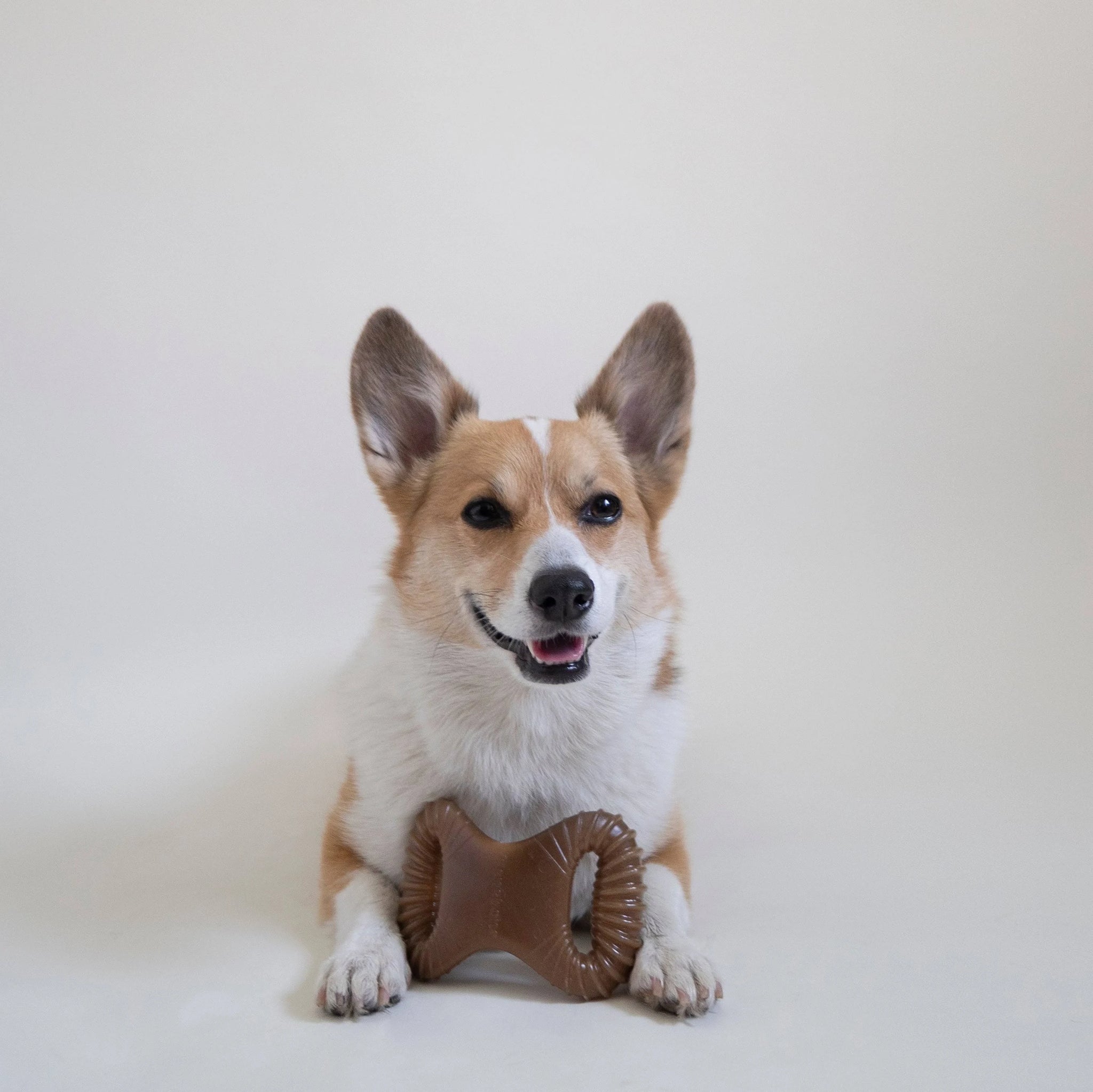 Benebone Dental Dog Chew Toy – Peanut - Small