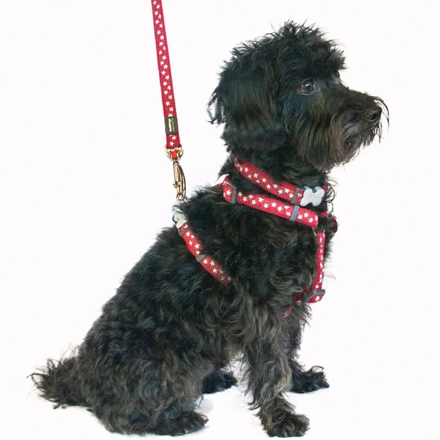 Red Dingo Dog Harness Stars Red/White Medium