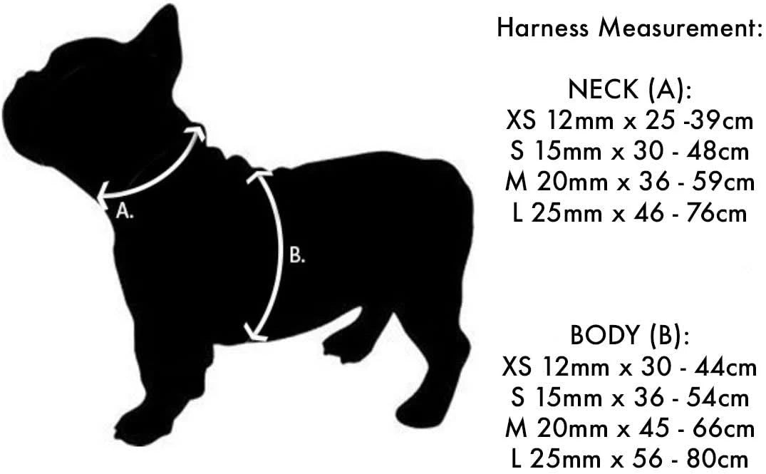 Red Dingo Dog Harness Stars Red/White Medium