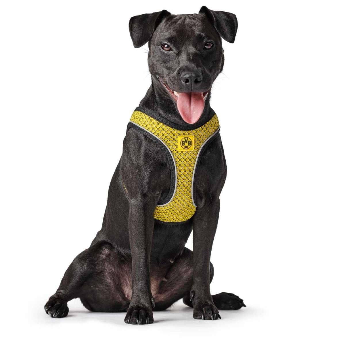 Hunter - Dog Harness Hilo Bvb XS-S - (68589)