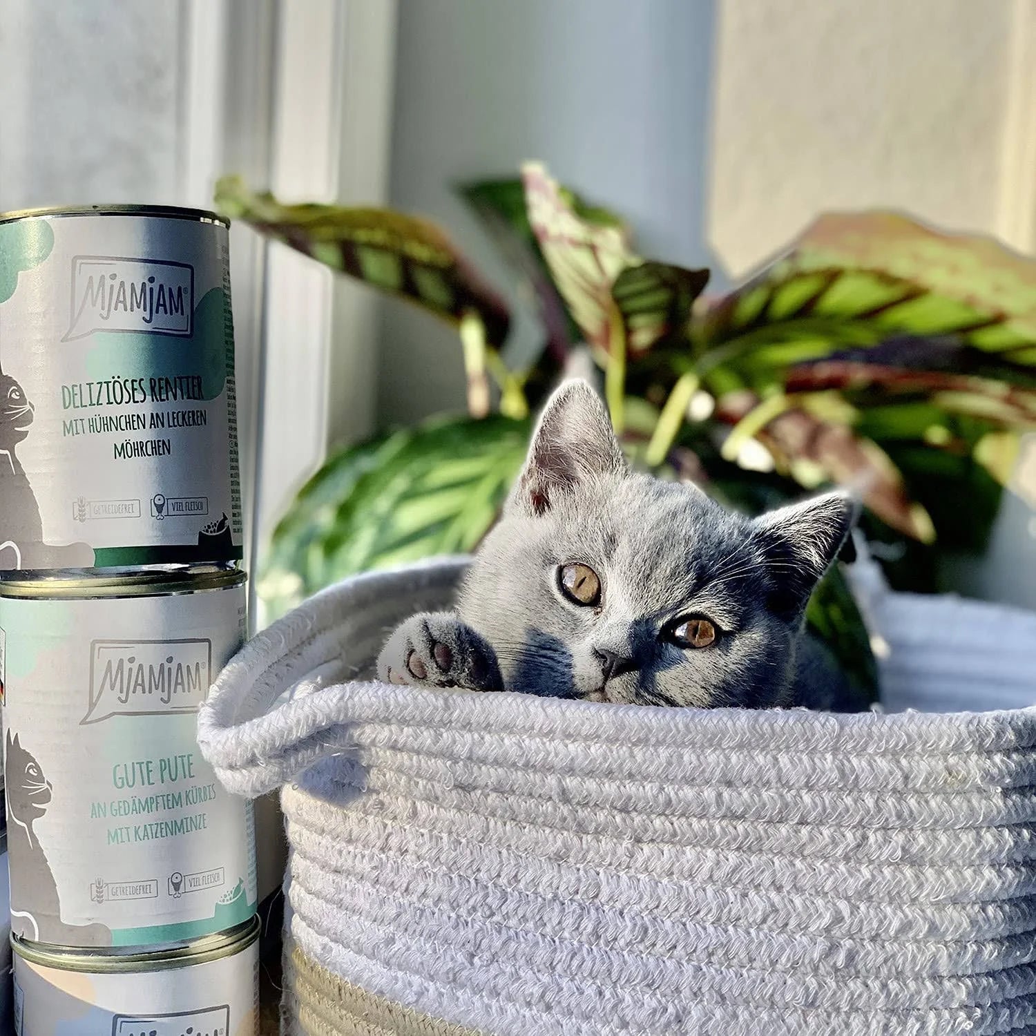 MjAMjAM Good Turkey with Steamed Pumpkin and Catnip | Pets Villa 6*200g