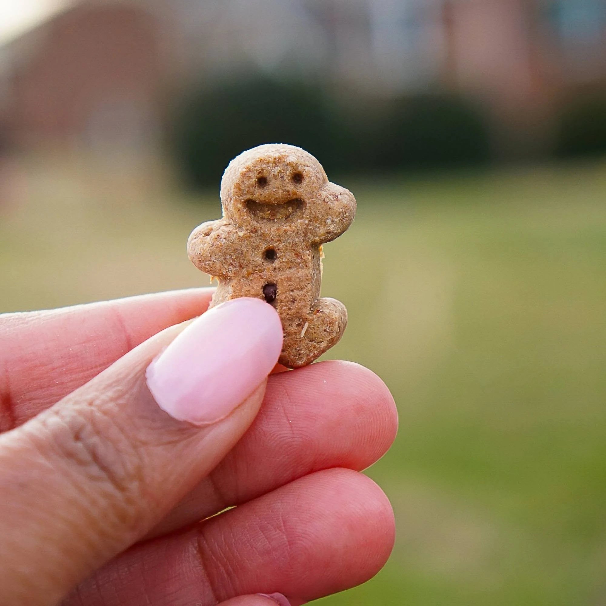 Cloud Star - Buddy Biscuits Soft & Chewy Dog Treats Peanut Butter - 6 oz.