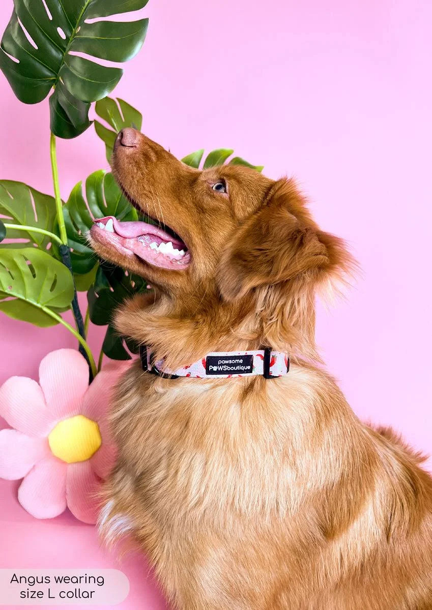 Collar - Chilli Dog, XS
