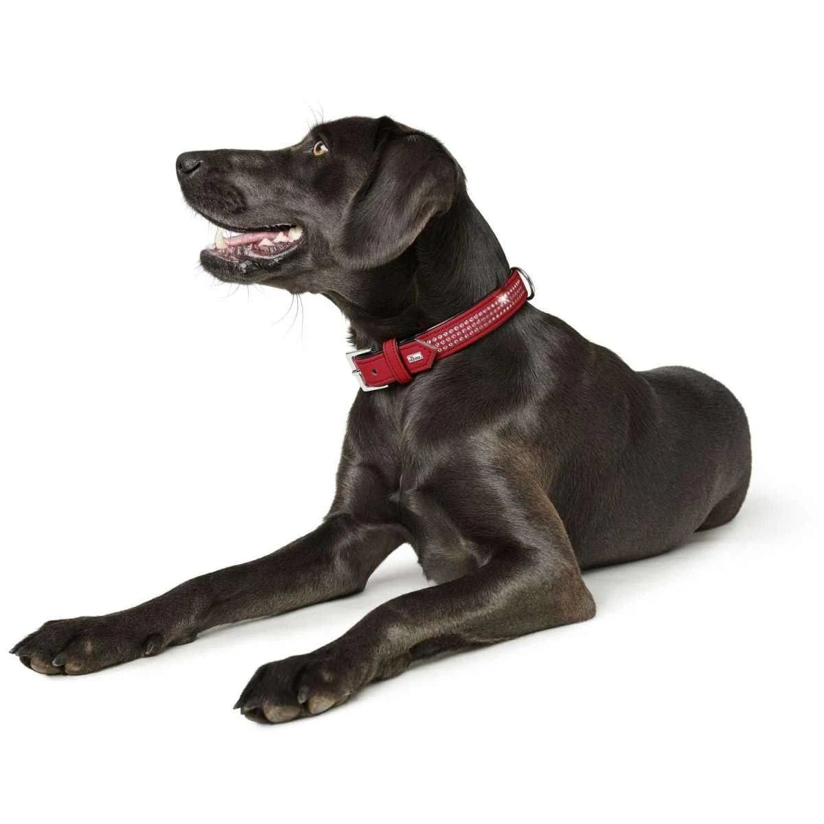 Hunter Softie Deluxe Collar