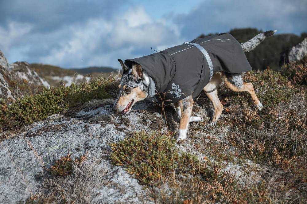 Hurtta Extreme Warmer - Blackberry - 35cm