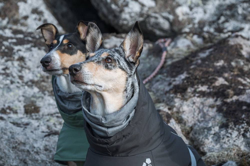 Hurtta Extreme Warmer - Blackberry - 35cm