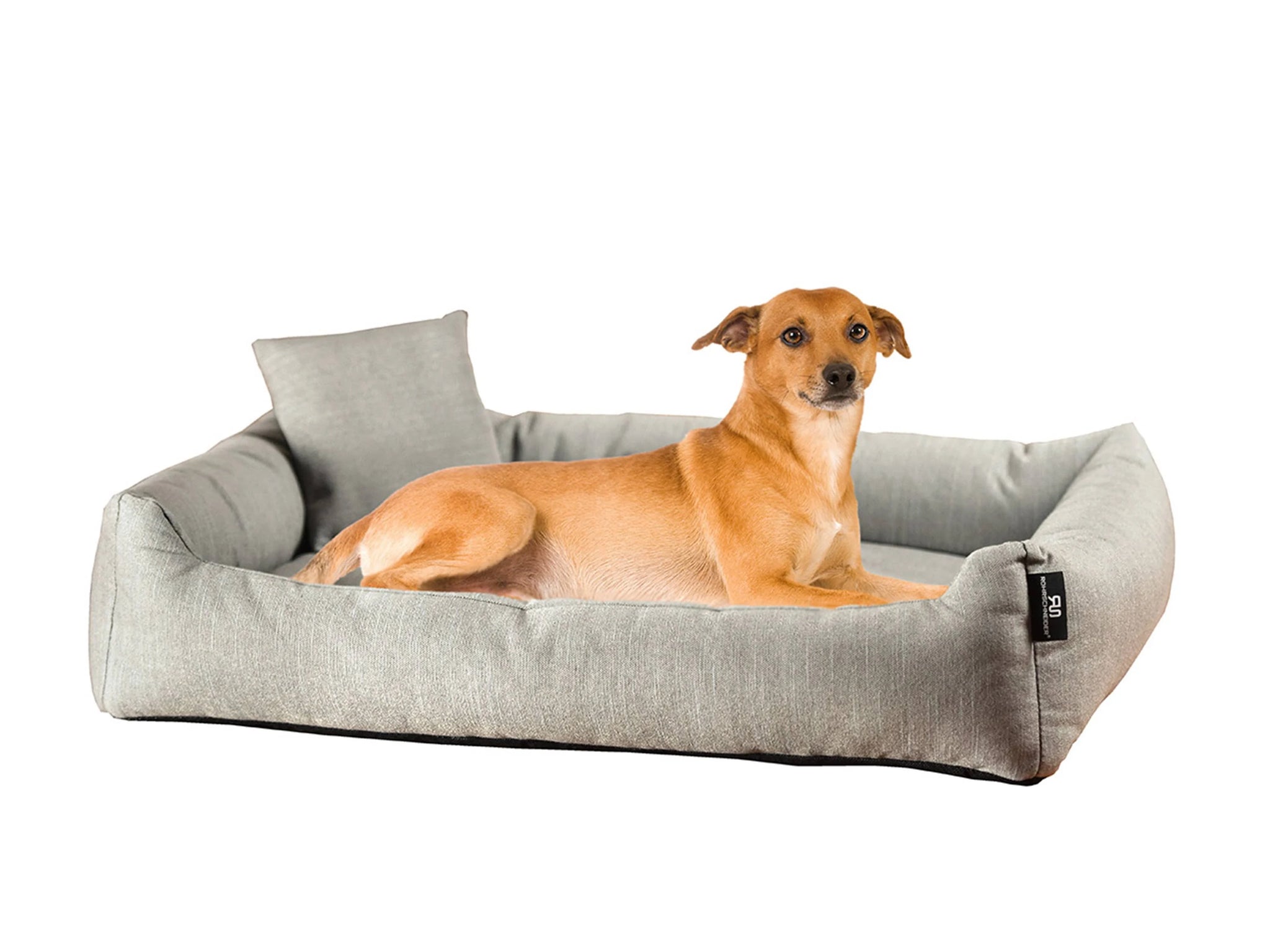 Polyester Pet Bed Silvio Design Size: Medium (70cm W x 49cm D x 15cm H), Colour: Grey
