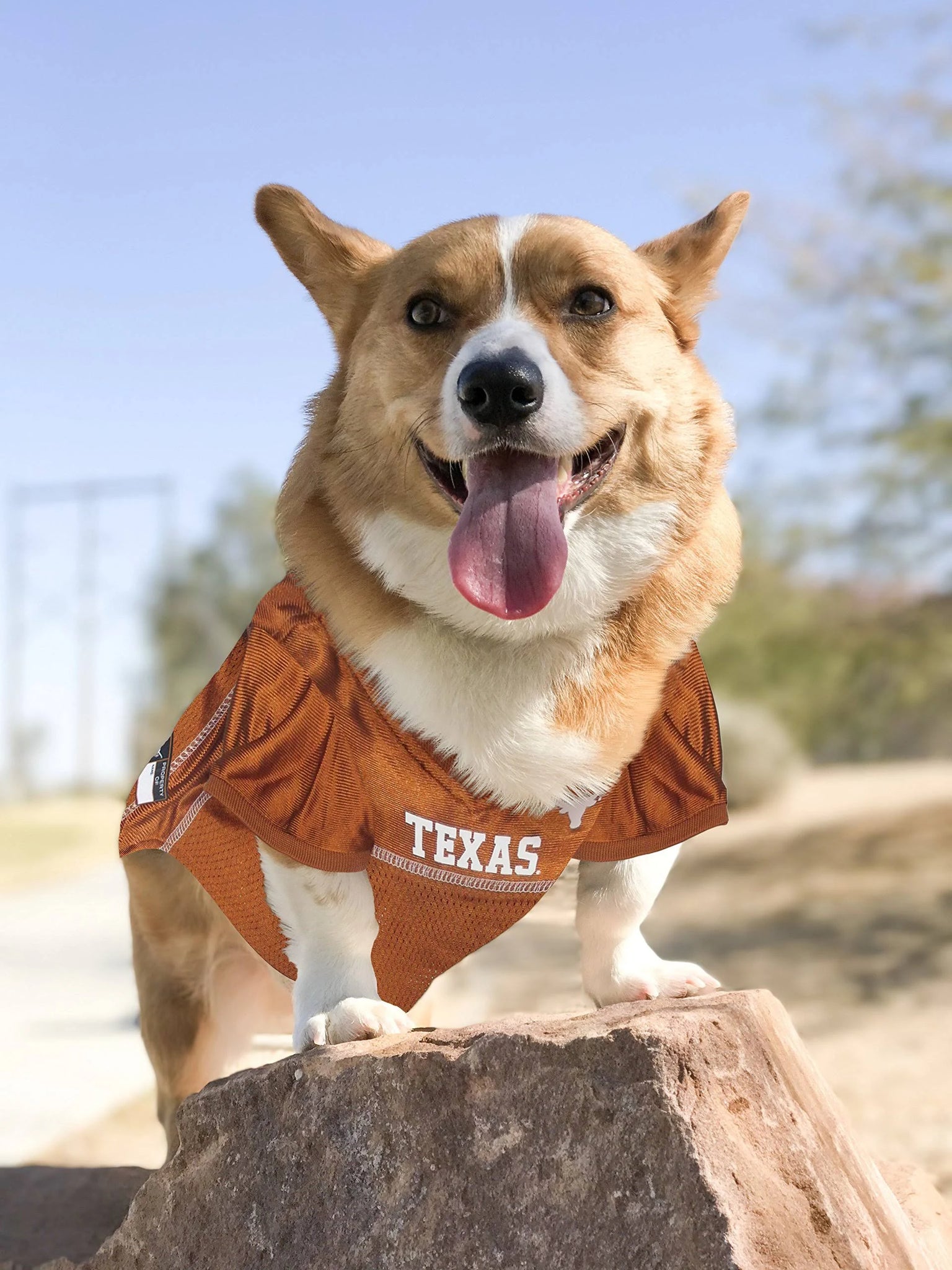 Pets First NCAA College Texas Longhorns Mesh Jersey For Dogs & Cats, Size Small ...