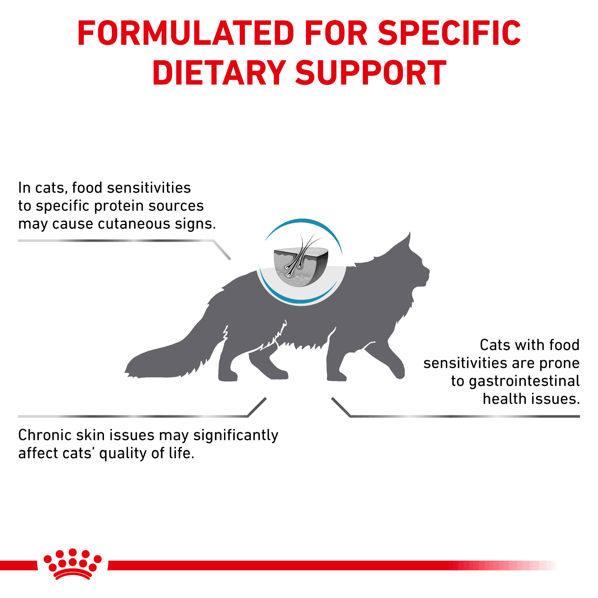 Royal Canin Feline Anallergenic Dry Cat Food 2kg