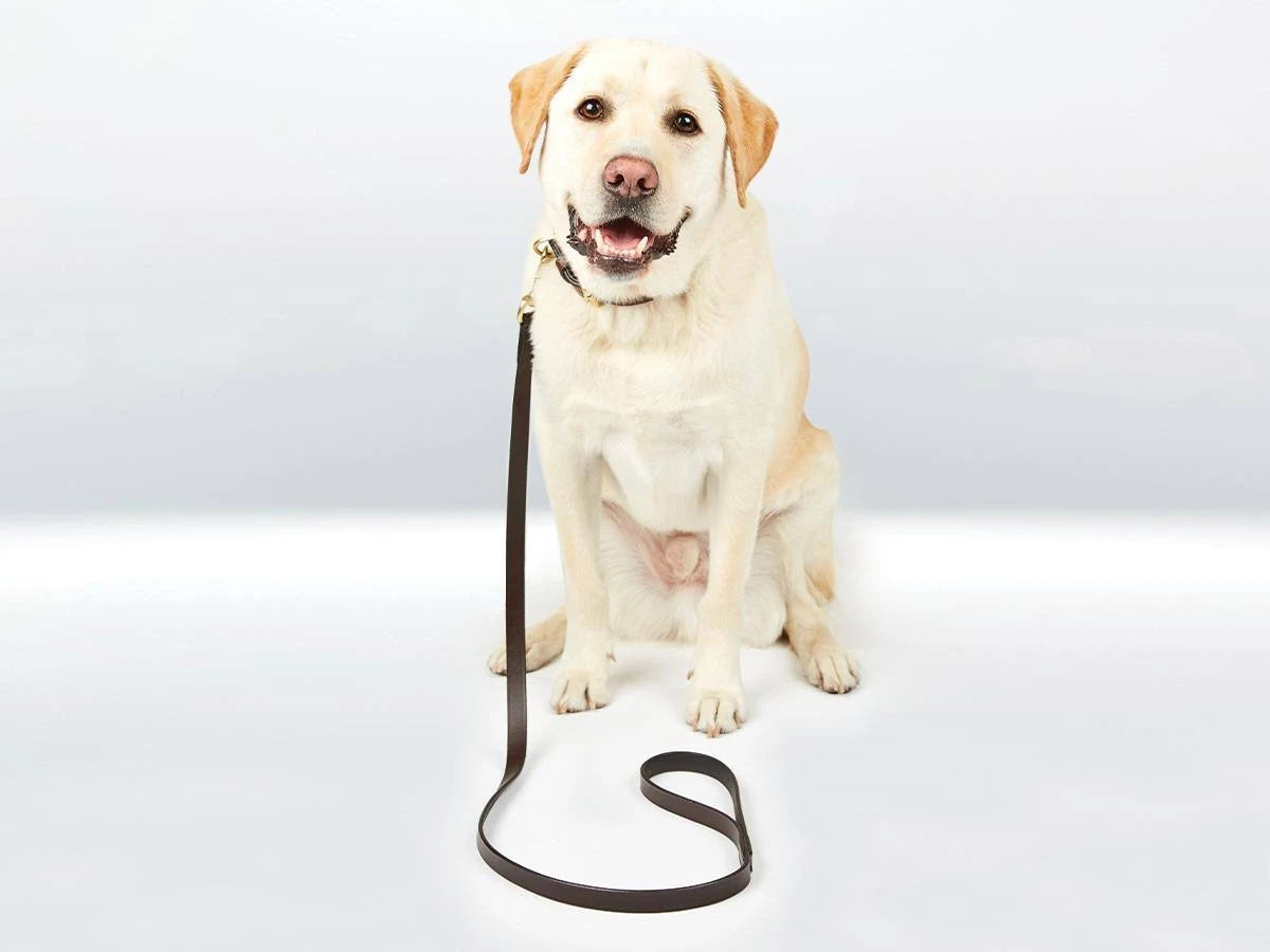 Weatherbeeta Leather Dog Lead - Brown