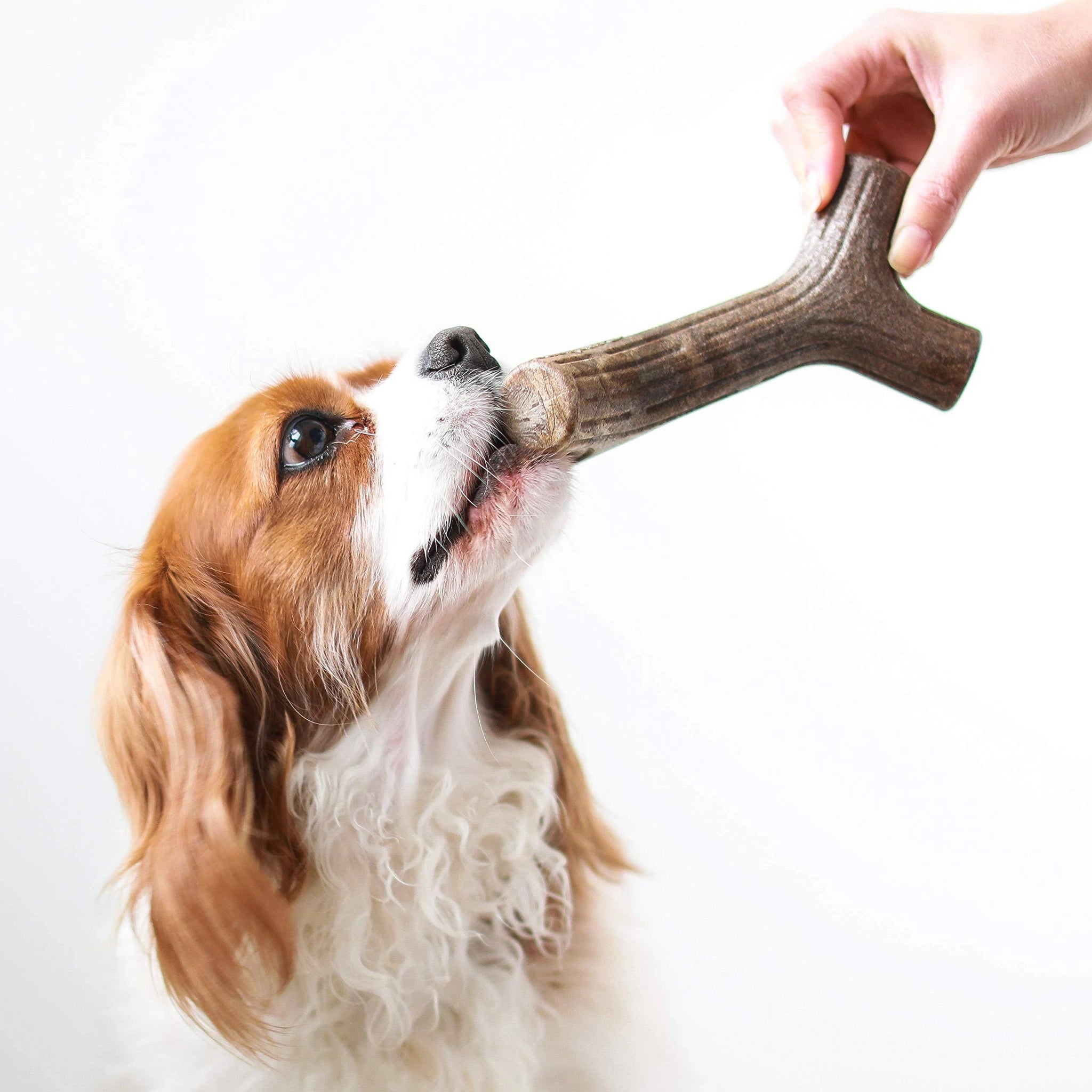 Benebone Maplestick Chew Dog Toy - Medium