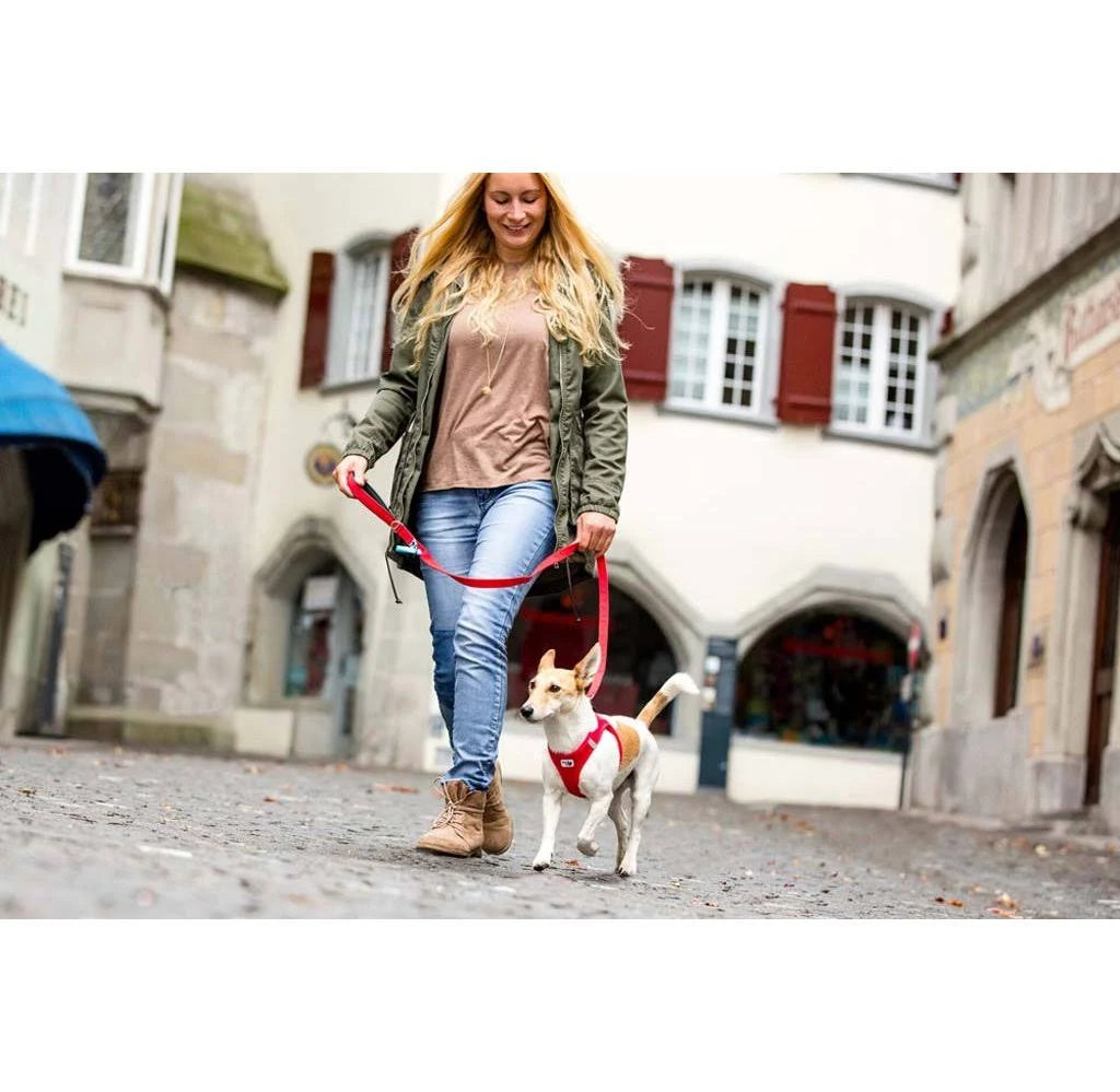 Curli Basic Leash Red M