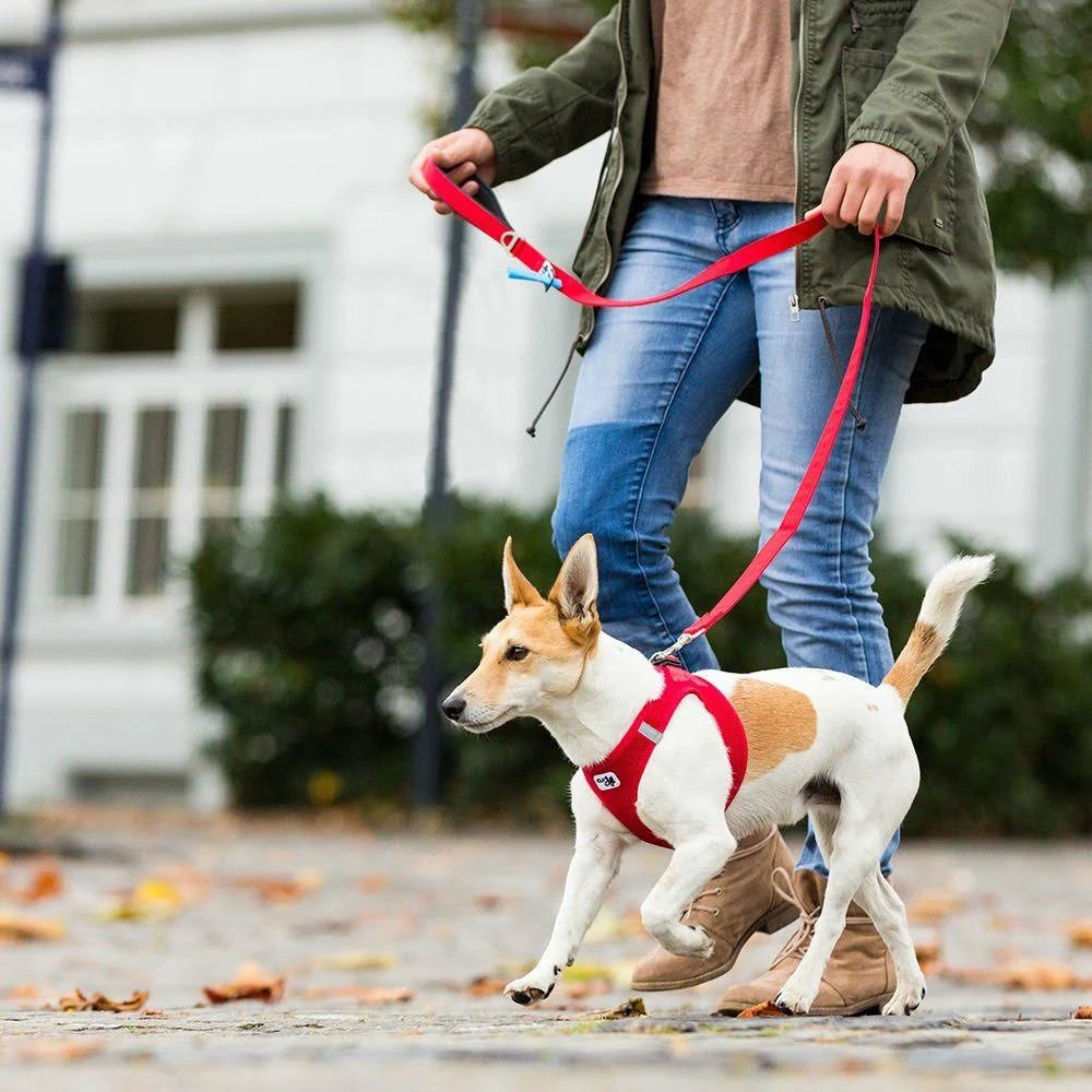 Curli Basic Leash Red M
