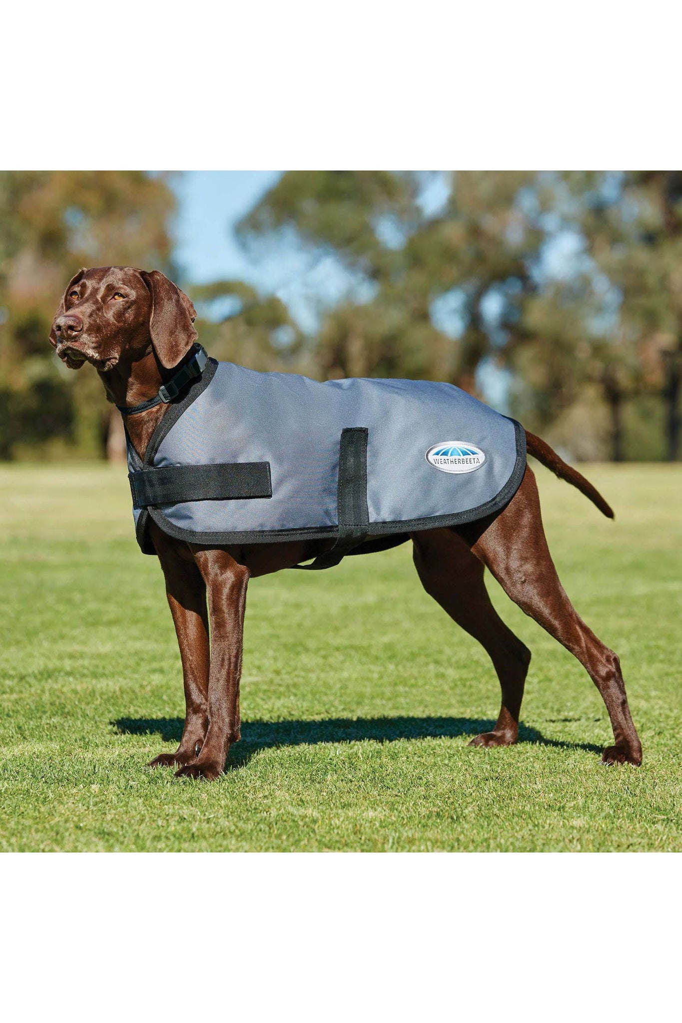 Weatherbeeta Comfitec Classic Dog Coat - Dark Grey / 65cm