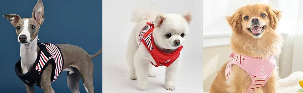 Puppia Seaman B Dog Harness, Navy, Large