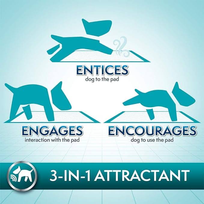 Simple Solution Puppy Training Pads - Extra Large, 10 Pack