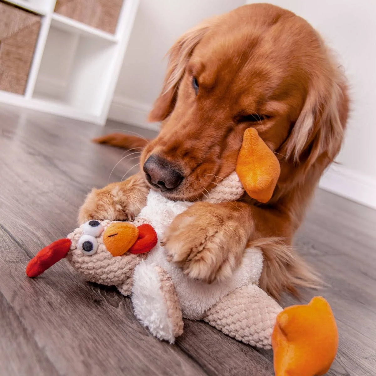 goDog Checkers Fat Rooster Squeaky Plush Dog Toy, Chew Guard Technology - Brown ...