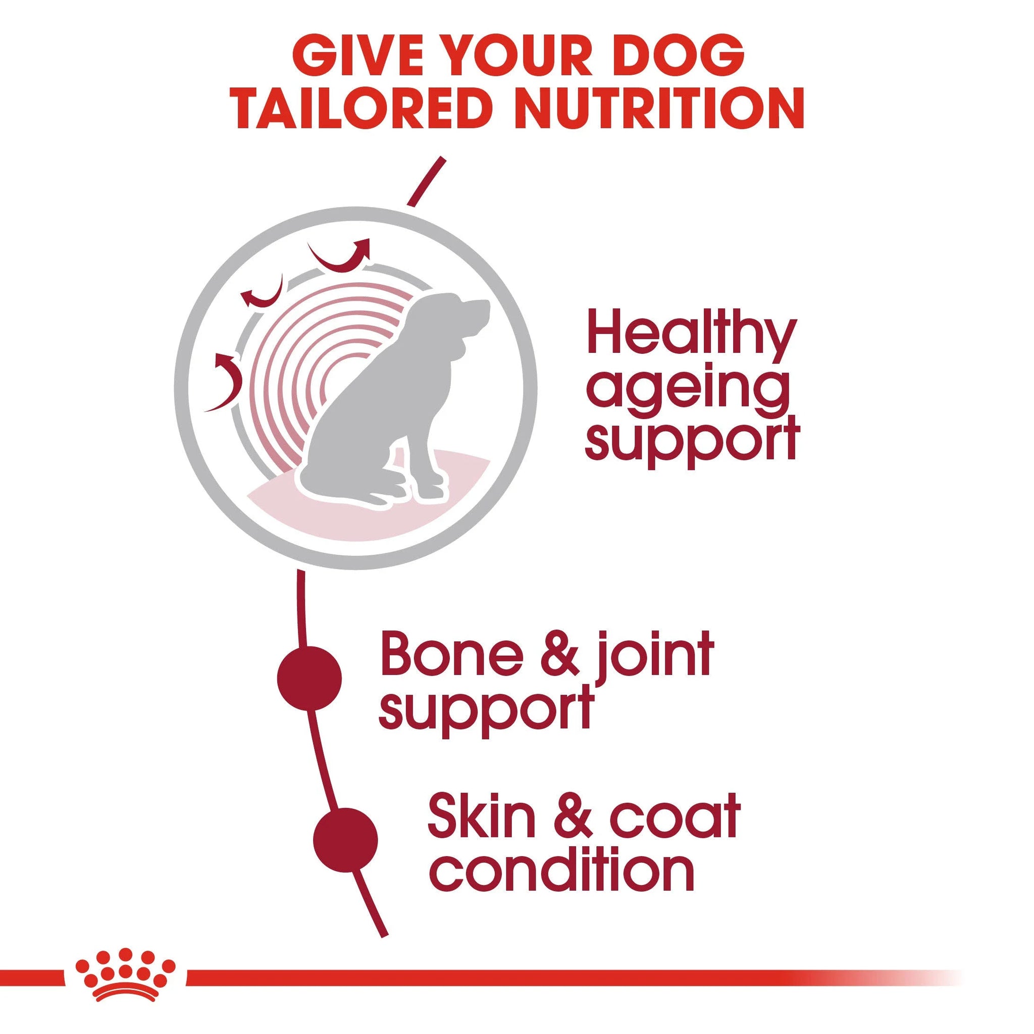 Royal Canin Medium Ageing 10+ Wet Dog Food in Gravy (10 x 140g)