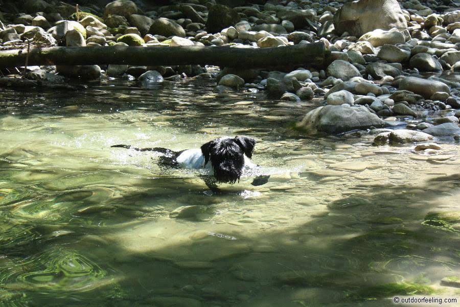 Ruffwear Swamp Cooler Dog Vest