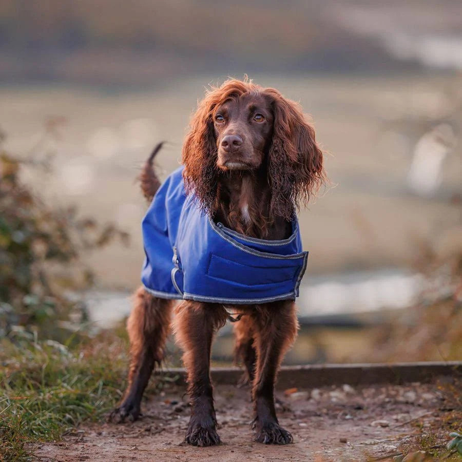 Weatherbeeta Comfitec Windbreaker Free Dog Coat - Dark Blue/Grey/White 45cm