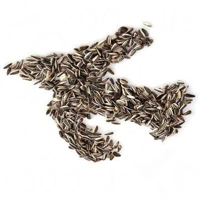 Lillebro Sunflower Seeds For Wild Birds - 10kg